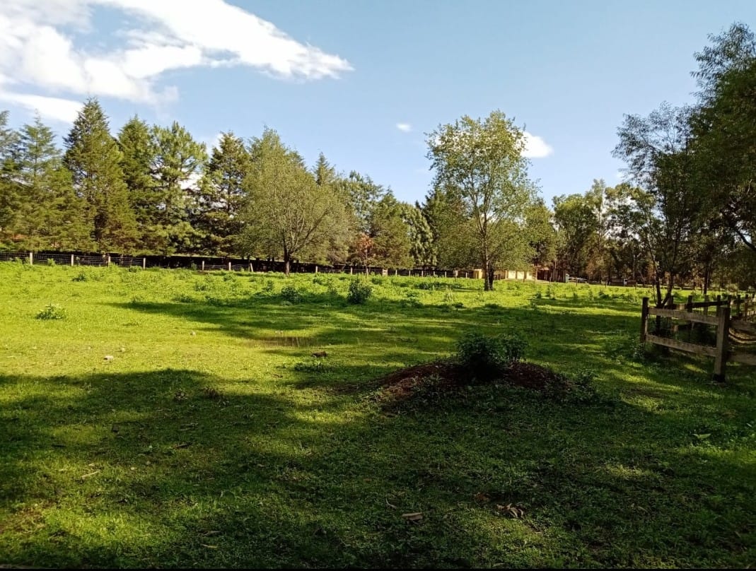 TERRENO EN VENTA EN TAPALPA, JAL. FRACC RANCHO VIEJO 10,100 M2